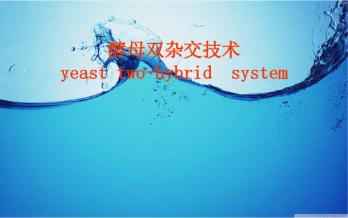 酵母双杂交技术1