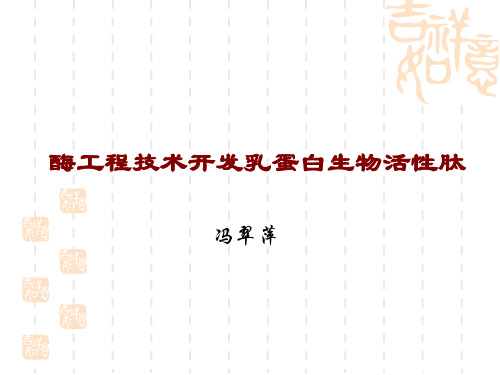 酶解活性蛋白