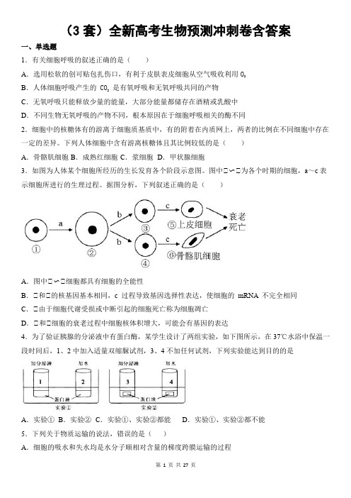 (3套)全新高考生物预测冲刺卷含答案