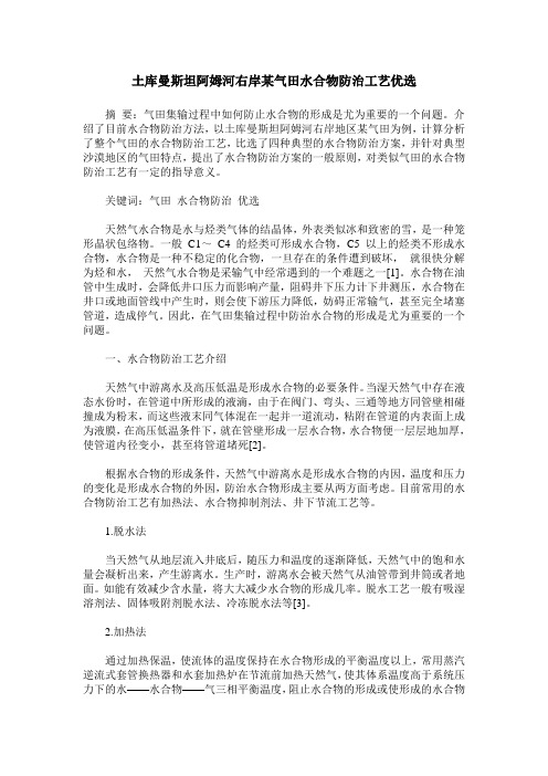 土库曼斯坦阿姆河右岸某气田水合物防治工艺优选