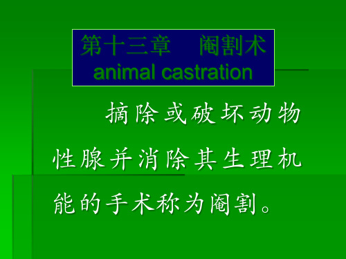 宠物绝育手术ppt课件