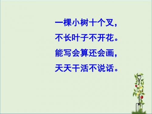 人教版一年级语文下册《胖乎乎的小手》课件PPT