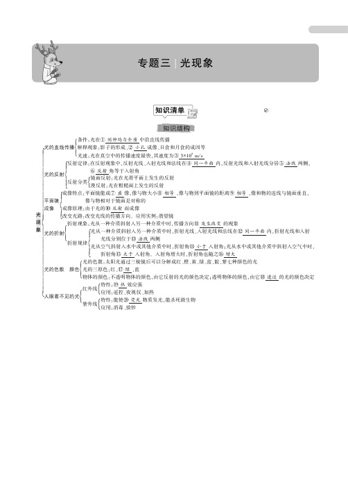 备考2020中考物理：专题三    光现象(知识梳理+例题)  PDF