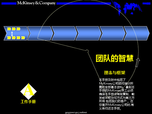 麦肯錋内部培训手册——团队的智慧PPT