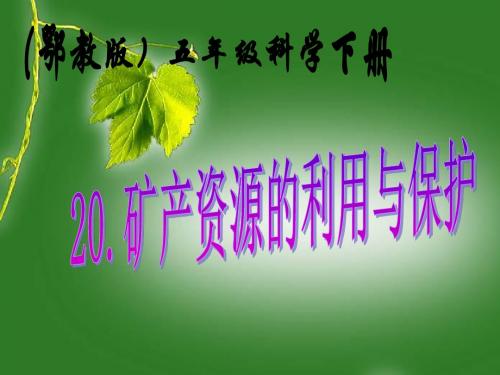 《矿产资源的利用与保护》PPT课件