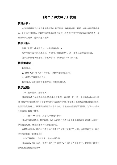 《高个子和大胖子》教案