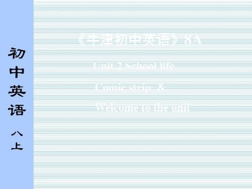 江苏地区牛津译林版八年级上册英语课件8AU2welcometotheunitandcomicstripe