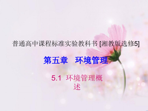 环境管理概述PPT课件