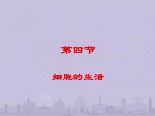 《细胞的生活》教学课件22 人教版