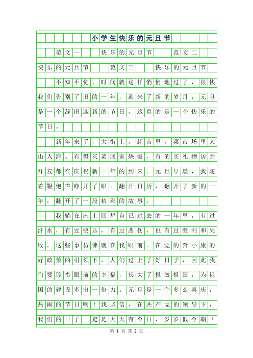 2019年小学生作文-快乐的元旦节
