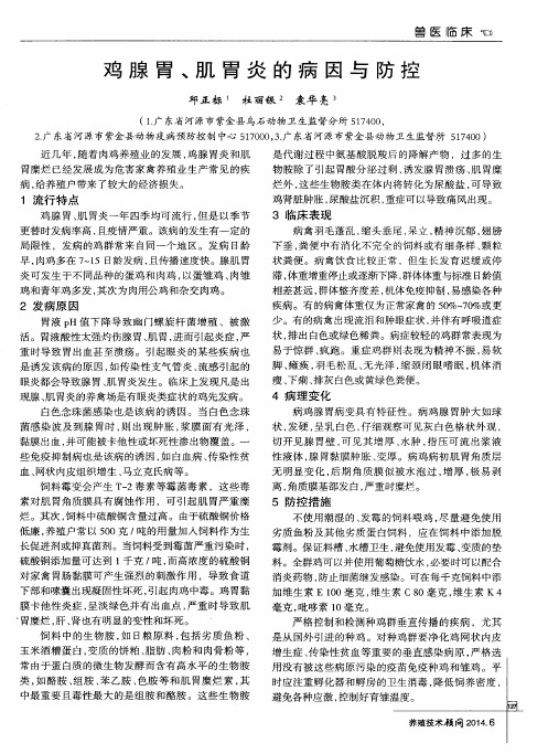 鸡腺胃、肌胃炎的病因与防控