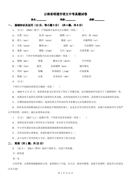 云南省昭通市语文中考真题试卷