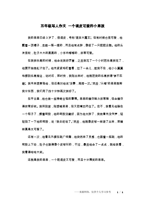 五年级写人作文 一个调皮可爱的小男孩