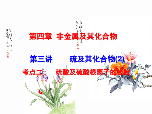 硫及其化合物(2)  硫酸及硫酸根离子的检验