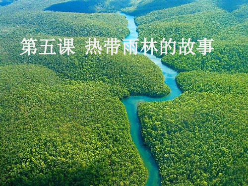 北师大版高中语文《热带雨林的故事》