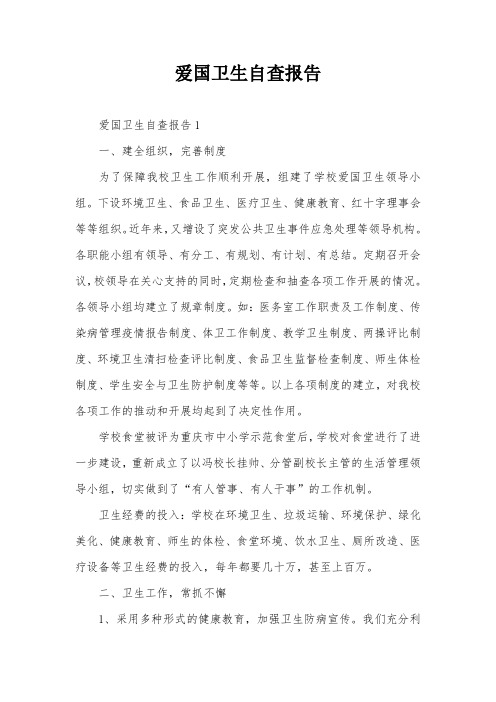 爱国卫生自查报告