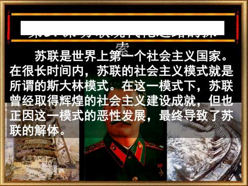 苏联现代化道路的探索PPT课件 人民版
