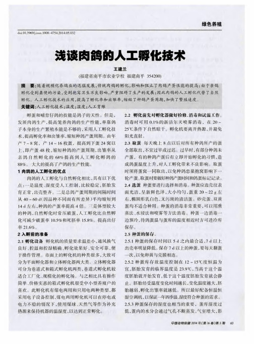 浅谈肉鸽的人工孵化技术