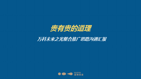 2019蓝睛创意-万科未来之光整合推广方案