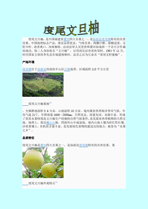 度尾文旦柚 介绍