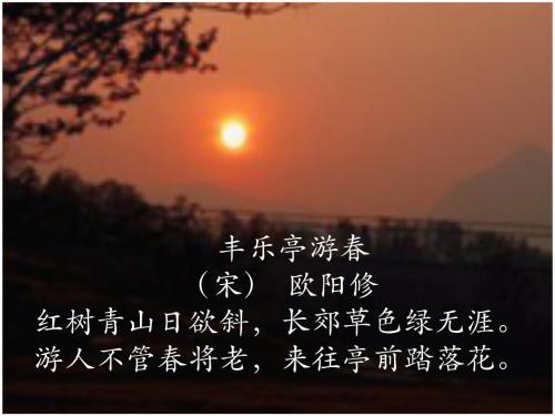 四年级语文19 生命 生命公开课课件优质教学课件