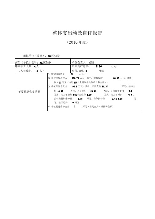 整体支出绩效自评报告