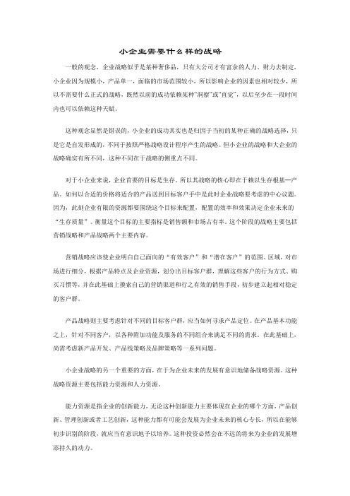 小企业需要什么样的战略