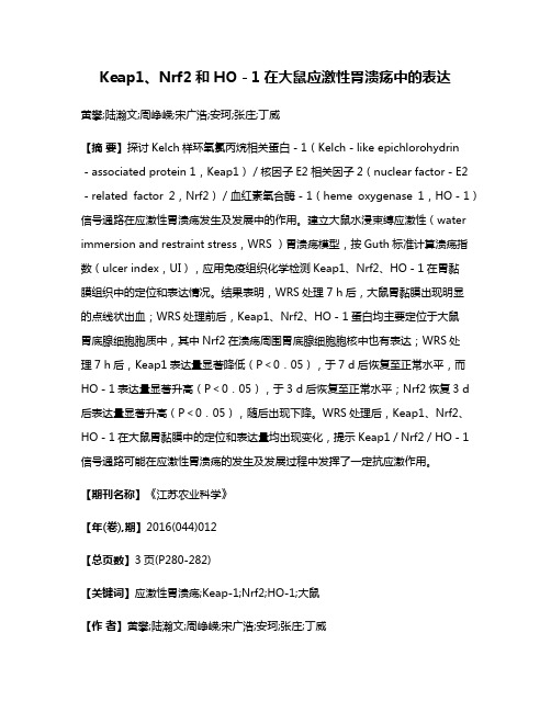 Keap1、Nrf2和HO－1在大鼠应激性胃溃疡中的表达