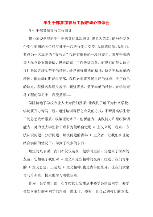 学生干部参加青马工程培训心得体会