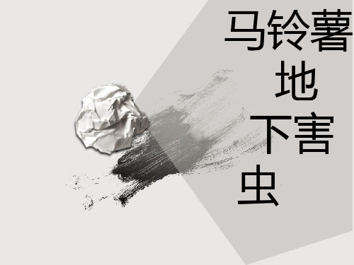 土豆地下害虫及防治