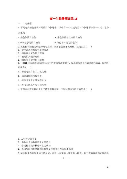高一生物暑期训练16