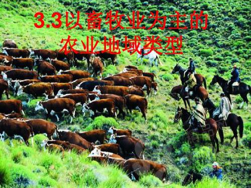 高中地理以畜牧业为主的农业地域类型课件新人教版必修2