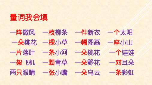 量词我会填