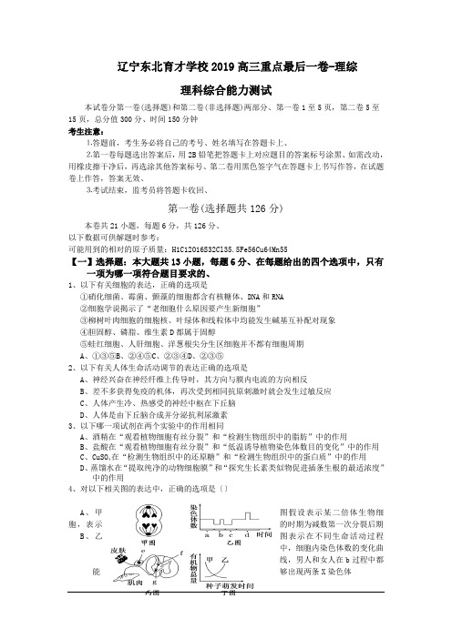 辽宁东北育才学校2019高三重点最后一卷-理综