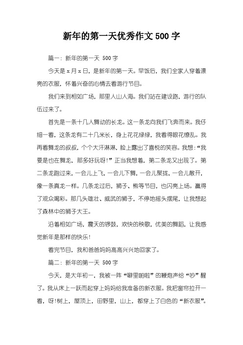新年的第一天优秀作文500字