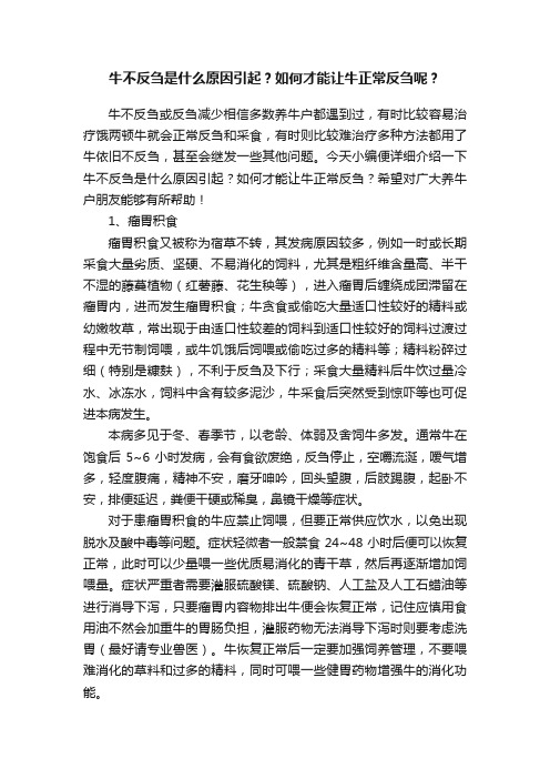 牛不反刍是什么原因引起？如何才能让牛正常反刍呢？