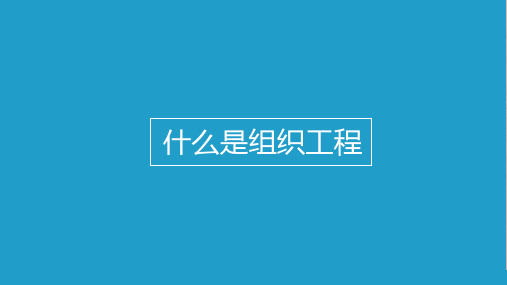 组织工程支架和载体材料