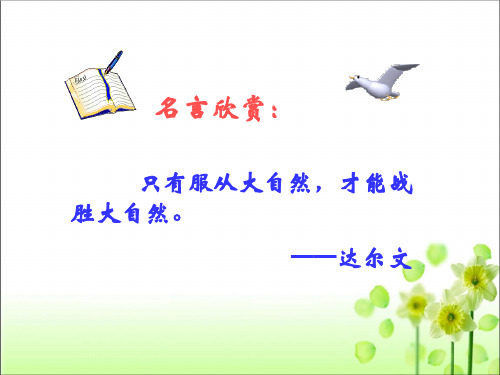 人教版八年级生物 上册 第五单元 第二章 第三节 社会行为 课件(共51张PPT)