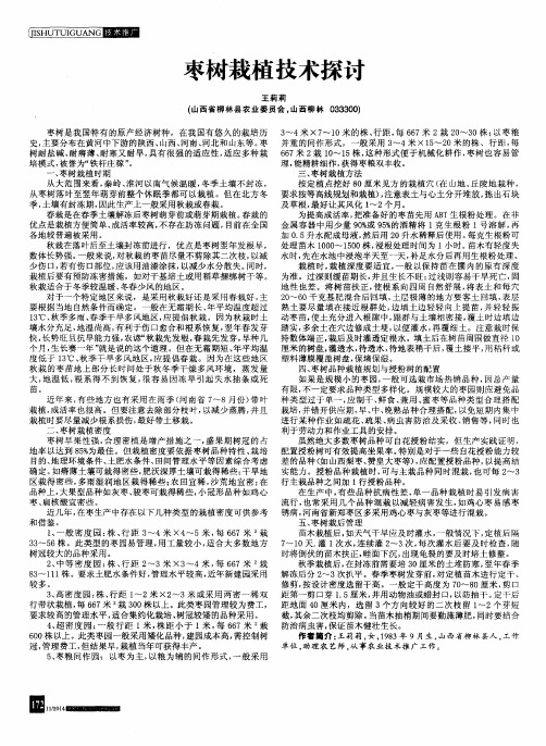 枣树栽植技术探讨
