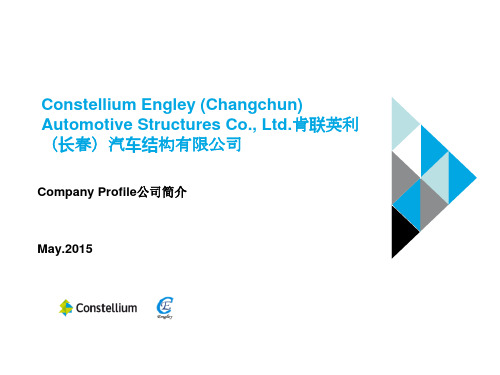 肯联英利公司Company Presentation-May 2015 译稿