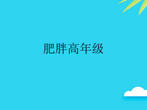 【正式版】肥胖高年级PPT