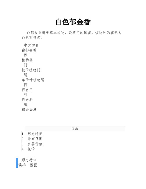 白色郁金香