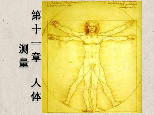 人因工程第11章人体测量