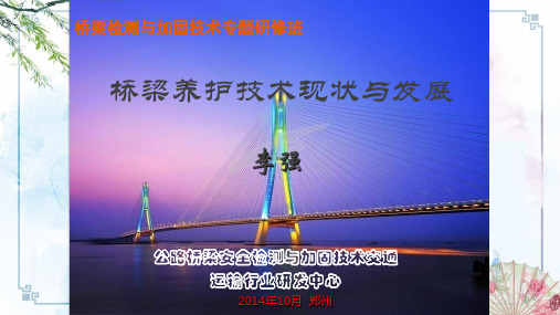 桥梁 养护技术 现状与发展