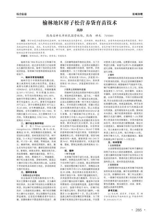 榆林地区樟子松营养袋育苗技术