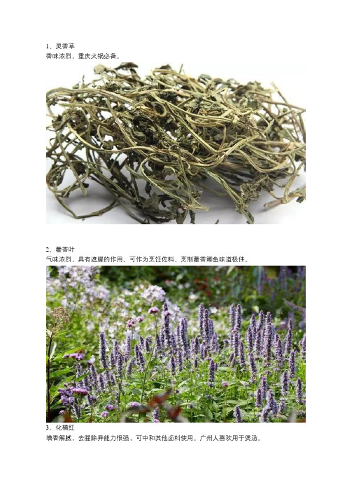 55种香料的用途及功效,供大家参考!