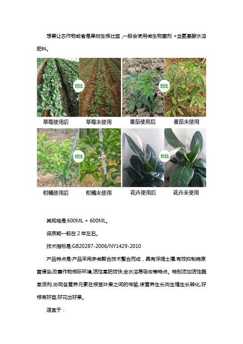 生根壮苗用什么肥,如何使用