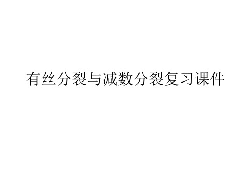 有丝分裂与减数分裂复习PPT课件