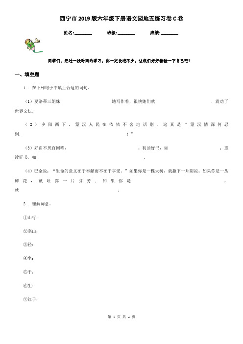 西宁市2019版六年级下册语文园地五练习卷C卷