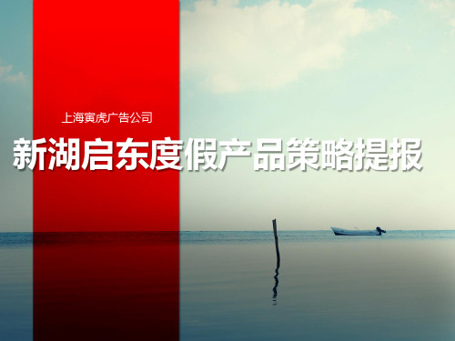 寅虎广告-上海新湖启东旅游度假地产项目提报